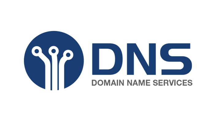 DNS Logo