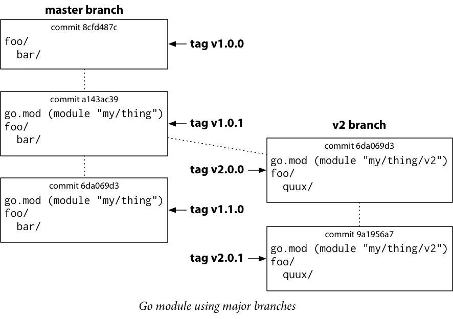 Go Modules 分支